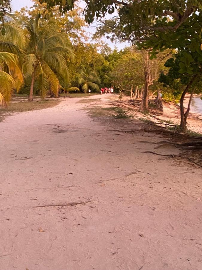 La Maison De La Plage Sainte-Luce Eksteriør billede